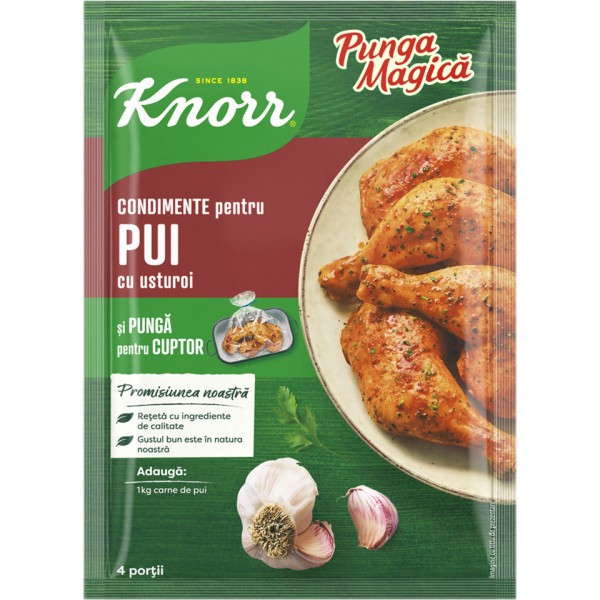Knorr - Mix de condimente pentru friptura de pui cu usturoi 28g